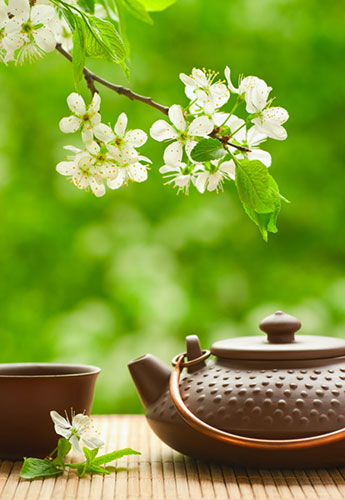 中国茶イメージ写真（春）500