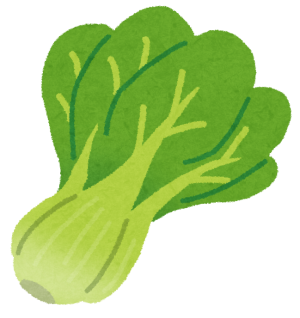 vegetable_komatsuna