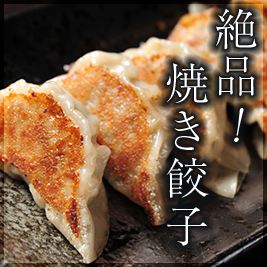 Image Caption