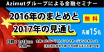 Image Caption