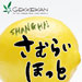Image Caption