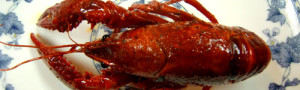 上海、夏の新・風物詩ザリガニを食べに